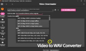 YouTube to WAV Converter [Free] | DJFuturo*