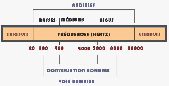 Schéma des fréquences audibles