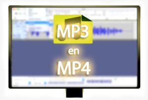 MP3 en MP4