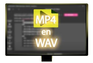 MP4 en WAV