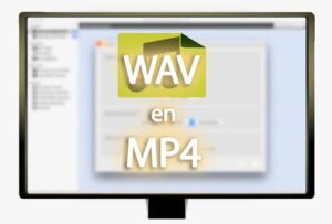 WAV en MP4